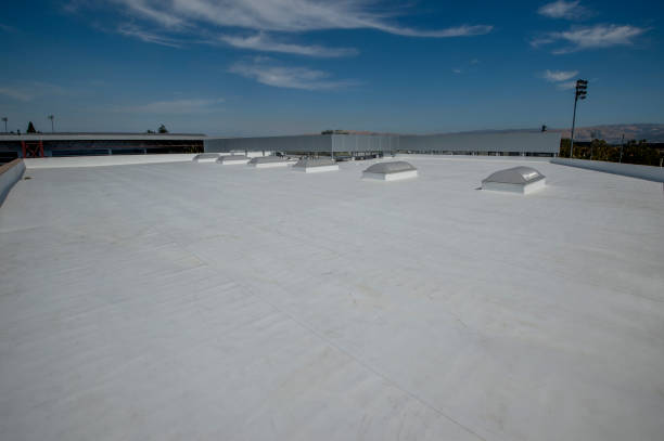 Cold Roofs in La Joya, TX
