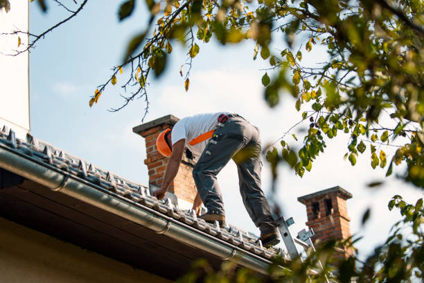 Best Roof Leak Repair  in La Joya, TX