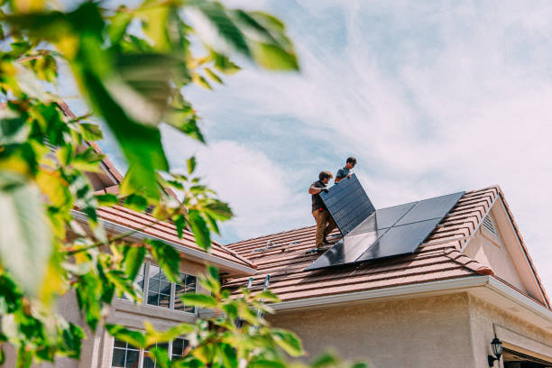 Best Solar Panel Roofing Installation  in La Joya, TX