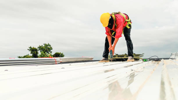 Best Commercial Roofing Services  in La Joya, TX