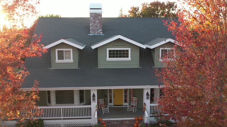 Best Green or Eco-Friendly Roofing Solutions  in La Joya, TX