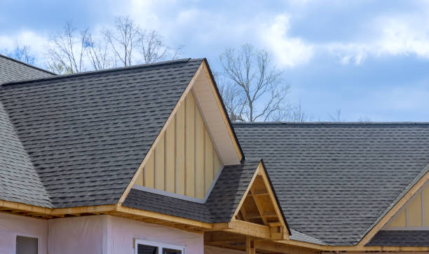 Best Rubber Roofing (EPDM, TPO)  in La Joya, TX