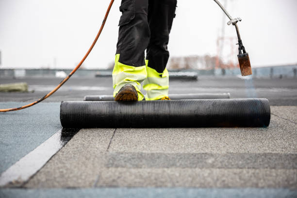Best Rubber Roofing (EPDM, TPO)  in La Joya, TX