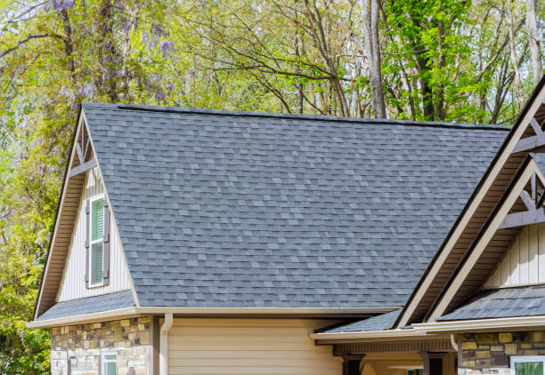 Best Roof Coating and Sealing  in La Joya, TX