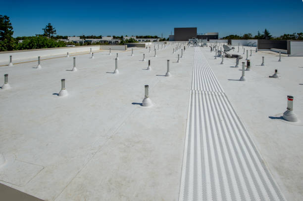 Best Roof Leak Repair  in La Joya, TX